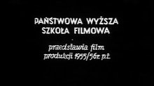 Film POLSKI - KONIEC NOCY