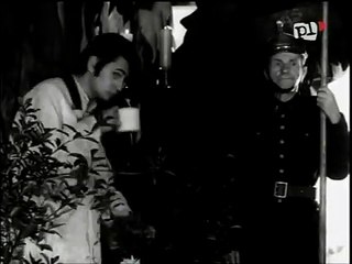 FILM POLSKI - WINO MSZALNE (1)