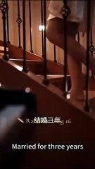 sleepless protector chinese drama