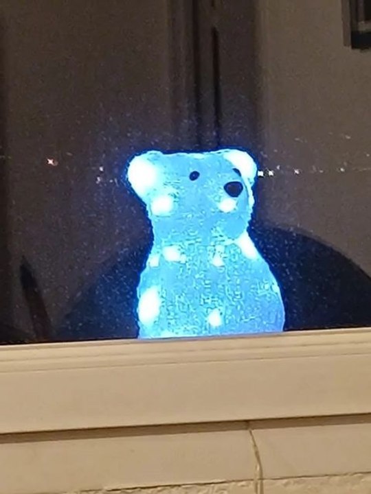 Quand ta déco de Noël veut rentrer chez toi