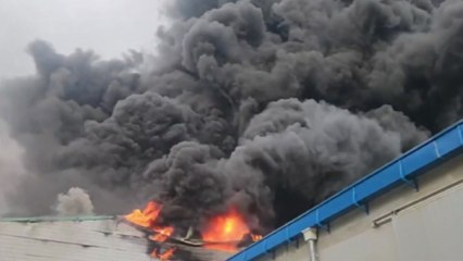 경기 안성 골판지 공장에 큰불...외국인 노동자 숨져 / YTN