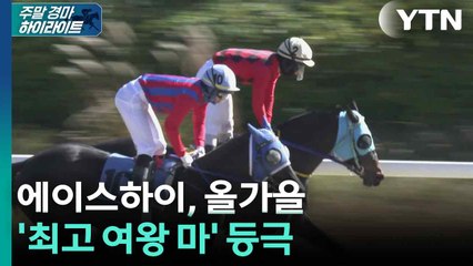 [주간 경마] 에이스하이, 올가을 최고 여왕에 등극 / YTN