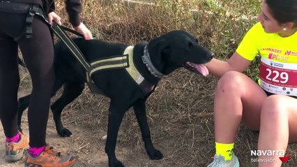 La Copa de España de Mushing hace parada en Buñuel