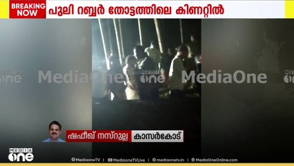 കാഞ്ഞങ്ങാട് കിണറ്റിൽ വീണ പുലിയെ പുറത്തെടുക്കാനുള്ള ശ്രമം ആരംഭിച്ചു