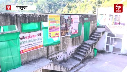 मैजिकल मशरूम से हो रही जादुई कमाई !,"गैनोडर्मा" से किसान की चमकी किस्मत