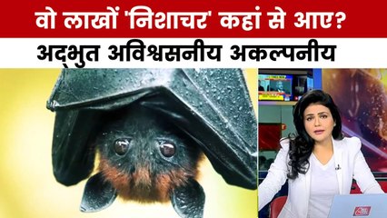 अद्भुत अविश्वसनीय अकल्पनीय: बिहार का रहस्यमई गांव, जहां चमगादड़ की होती है पूजा