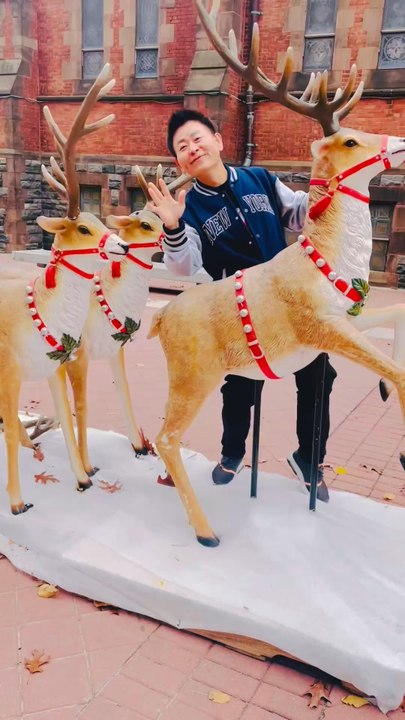 The reindeer-drawn sleigh at the Roosevelt Island Christ Church has ignited the Christmas spirit of resident Nelson Wang. This video was shot on November 23, 2025, at 543 Main Street, New York, NY 10044.