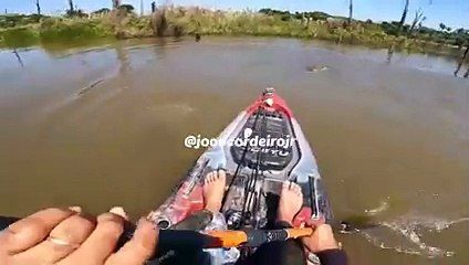 Un pescador se cruzó con un caimán y quiso alimentarlo para que se alejara, pero su reacción lo dejó temblando