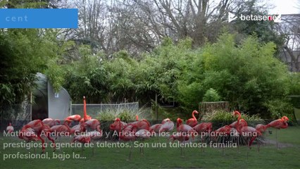 François Berléand (ES)