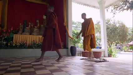 岩合光昭の世界ネコ歩きｍｉｎｉ「ユニークな毛並み」「第６感が働くとき」