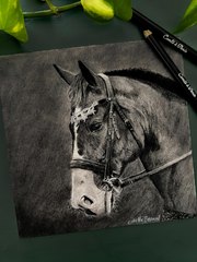 Dessin réaliste d'un cheval réalisé à la pierre noire #dessin #art #cheval