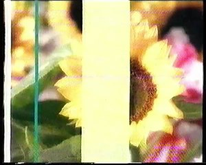 Nova TV 11.08.2002. - Reklame i najave