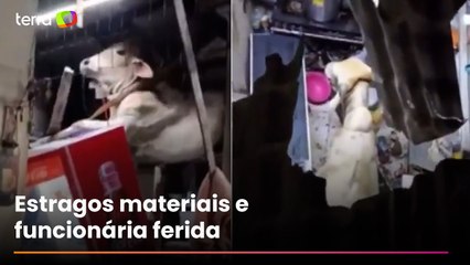 Vaca cai em telhado de bar e causa prejuízos no interior do Ceará