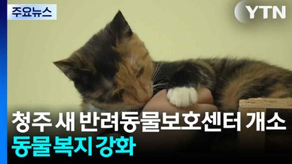 충북 청주 새 반려동물보호센터 개소...동물 복지 강화 / YTN