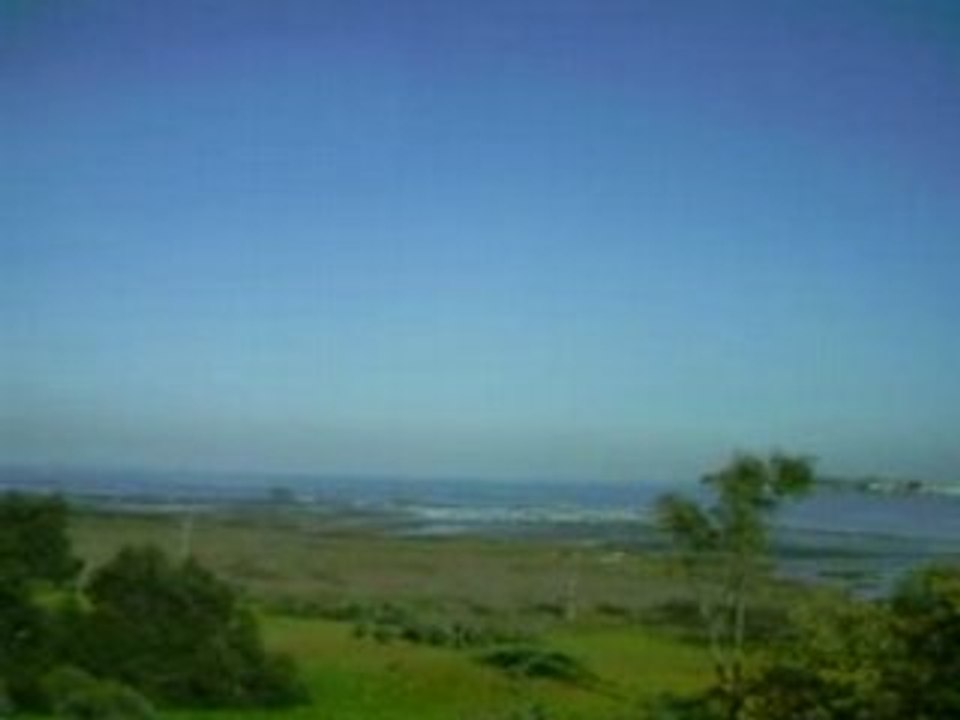 USA 2008