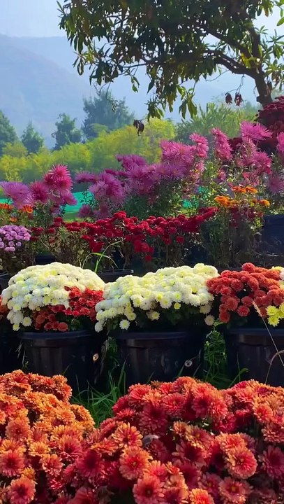 b392607b-d918-45be-94fb-6df246247124