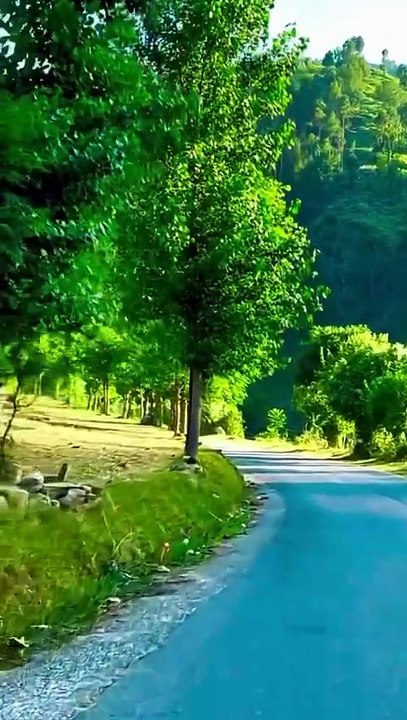 df150fd3eac91c2463248261a034262f