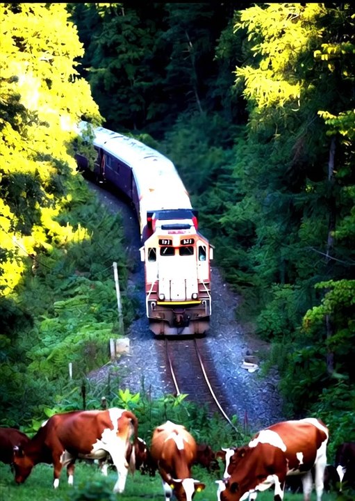 590698E8-6942-47F6-840A-267C5AA220E0