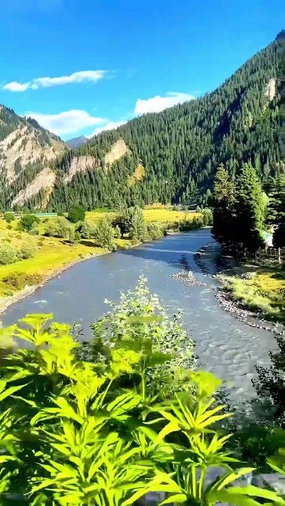 1977e68e-29cc-4950-9f25-1682f4f00749