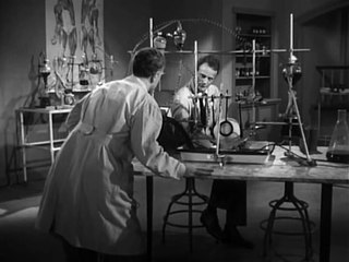 IL CERVELLO CHE NON VOLEVA MORIRE