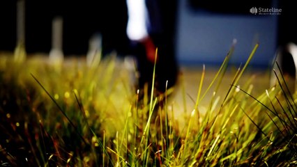 Western Australia urged to tighten regulation, as data shows most childcare abuse allegations go nowhere