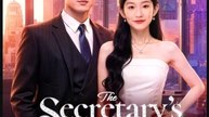The Secretary's Choice Chinese Drama - English Sub
