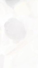 The Fake Heiress Stole Her Identity and Her Millions... Until the Real One Destroyed Her in Public