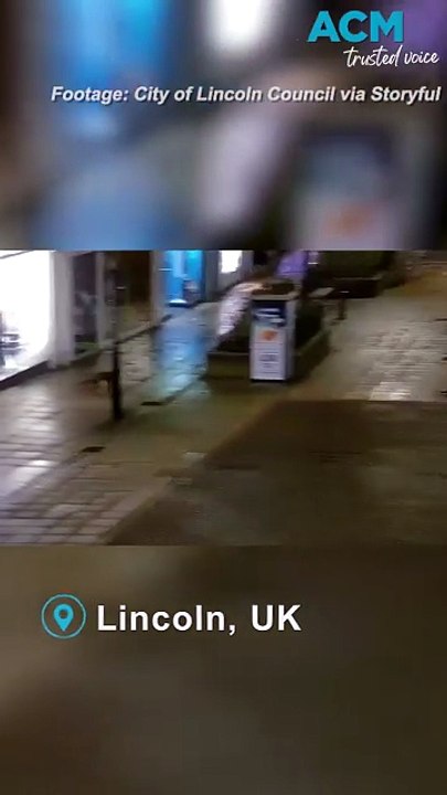 Adorable fox and otter duo captured on midnight stroll together