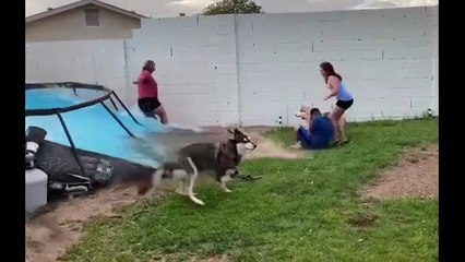 Most Expensive Fails of 2025 💸 | Costliest Fails That Lost Millions!