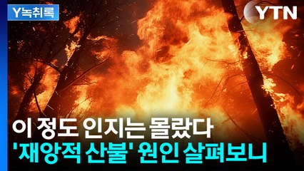 작은 불씨가 걷잡을 수 없이 '활활'...무려 99%가 인위적 산불 [Y녹취록] / YTN