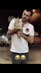 Funny Cats Movements For Cat lovers. Must Watch