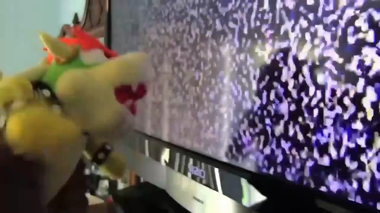 Bowser Loses Here Picture TV (Funny)