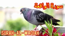 Surah Al Waqiah Full 