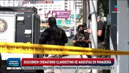 Descubren crematorio clandestino de mascotas | Enrique Sánchez