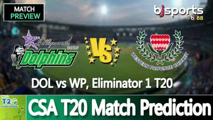 CSA T20 2025 | Dolphins vs  Western Province Eliminator 1 T20 Match Preview |