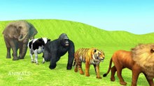 Paint Animals Gorilla Cow Tiger Lion Elephant Fountain Crossing Animal Game - Part 2