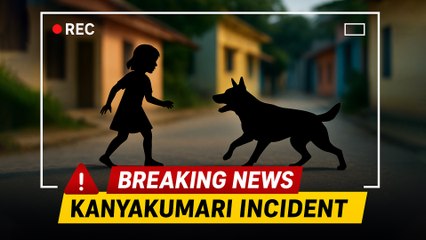 Kanyakumari Shocking Incident: 10-Year-Old Girl Injured in Pet Dog Attack | CCTV Footage Viral