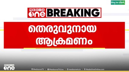 'കൊച്ചിന്റെ കവിളും മുഖവും ഒക്കെ കടിച്ച് ഇല്ലാതാക്കി'
