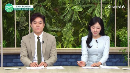 [차차차] 자동차시장의 프리미엄과 고성능 전략