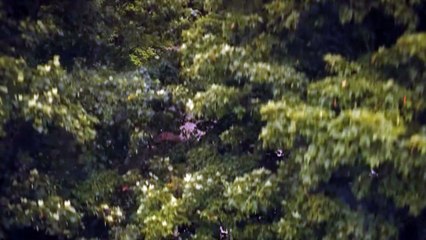 It Welcome to Derry Season 1 Episode 6 Promo