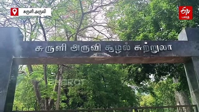 சுருளி அருவியில் கடும் வெள்ளப்பெருக்கு - சுற்றுலா பயணிகள் குளிக்க தடை!