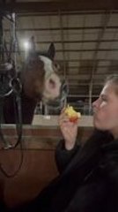 Horse Steals Woman's Apple While She Was Eating It