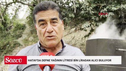 Fiyatı 400 liradan 1000 liraya çıktı: Yerlilerin geçim kaynağı