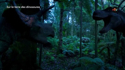 💖Sur la terre des dinosaures 17/10/2025💖💥T-Rex VS Tricératops, qui sortira vainqueur ?💥ABONNES-TOI STP🙏💖 MERCI 🙏💖💥