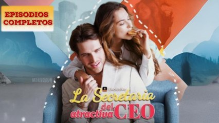 LA Secretaria Atractiva del Ceo en Español