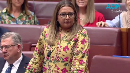 Pauline Hanson wears burqa in Senate 2025