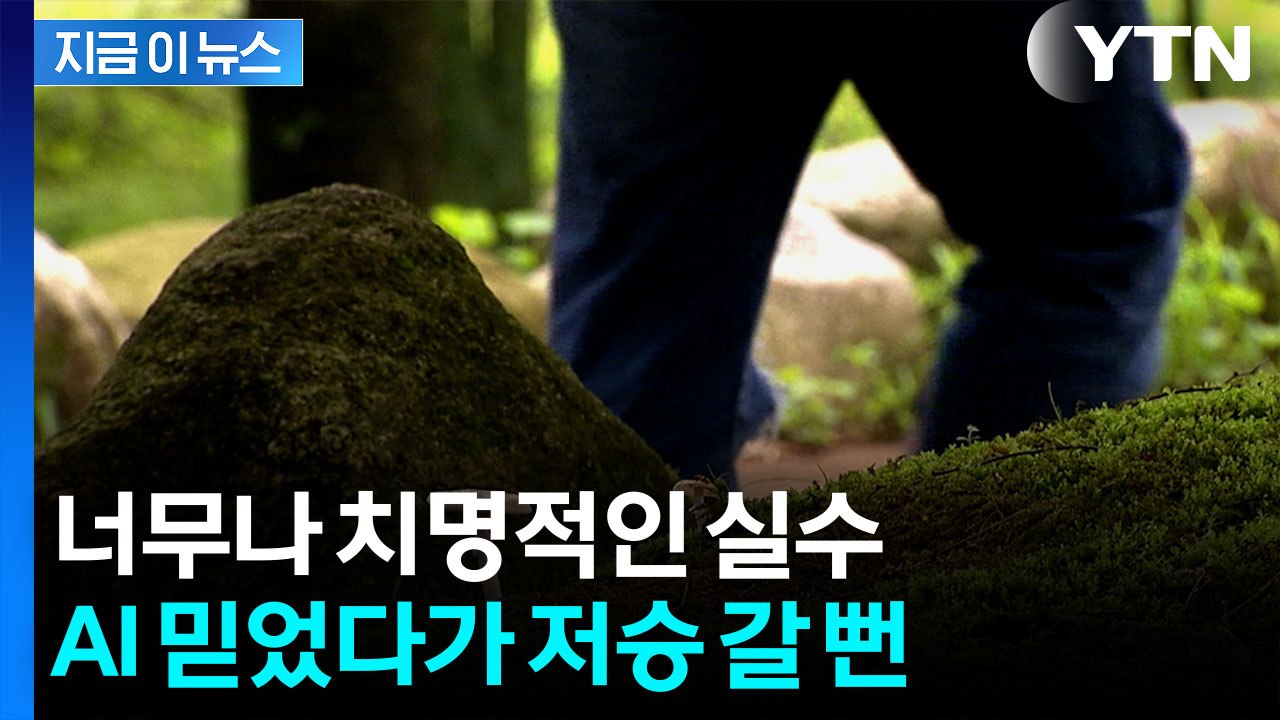 믿고 버섯 먹었다가...치명적 실수 저지른 AI [지금이뉴스]  / YTN