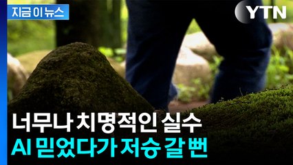 믿고 버섯 먹었다가...치명적 실수 저지른 AI [지금이뉴스]  / YTN