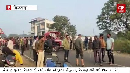 टाइगर की धमाचौकड़ी, पीछा करते-करते हांफने लगी रेस्क्यू टीम, चारों ओर तमाशबीनों की भीड़