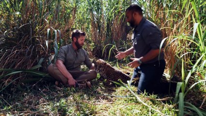 Vantara Sanctuary Stories S01E03